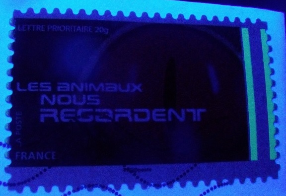 Image resize